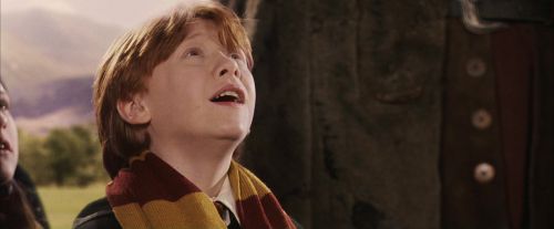 PF-Potterish_06927.jpg