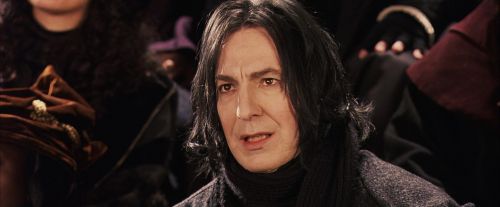 PF-Potterish_06952.jpg