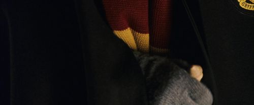 Click to view full size image
==============
PF-Potterish_06953.jpg PF-Potterish_06953.jpg