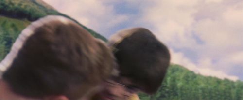 PF-Potterish_07020.jpg