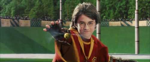Click to view full size image
==============
PF-Potterish_07062.jpg PF-Potterish_07062.jpg