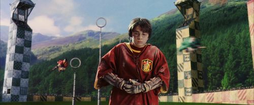 Click to view full size image
==============
PF-Potterish_07073.jpg PF-Potterish_07073.jpg