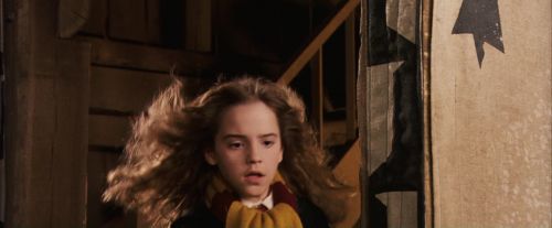 PF-Potterish_07079.jpg