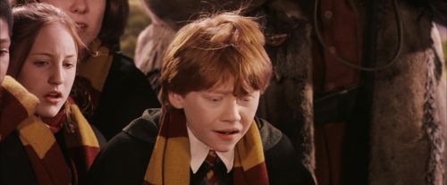 PF-Potterish_07083.jpg