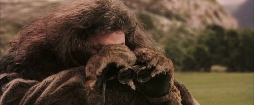 Click to view full size image
==============
PF-Potterish_07084.jpg PF-Potterish_07084.jpg