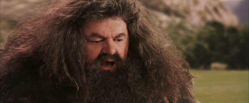 Click to view full size image
==============
PF-Potterish_07086.jpg PF-Potterish_07086.jpg