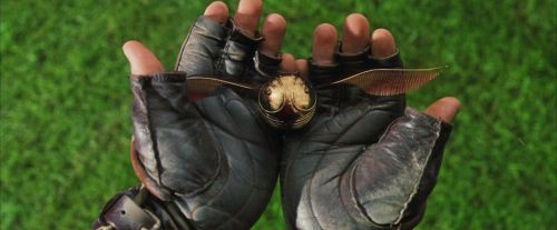 PF-Potterish_07093.jpg