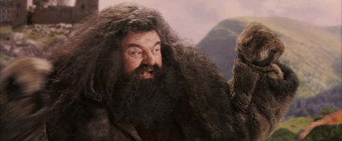 PF-Potterish_07114.jpg