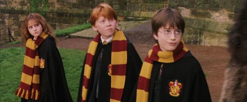 PF-Potterish_07172.jpg