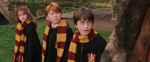 PF-Potterish_07173.jpg
