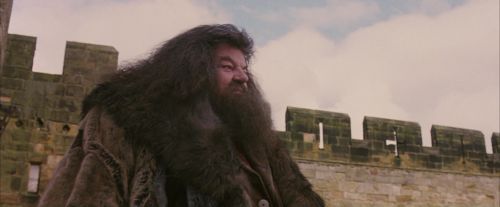 Click to view full size image
==============
PF-Potterish_07174.jpg PF-Potterish_07174.jpg