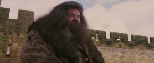 PF-Potterish_07175.jpg