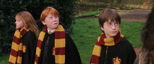 PF-Potterish_07177.jpg