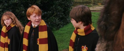 PF-Potterish_07178.jpg