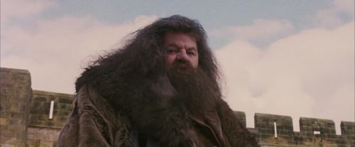 Click to view full size image
==============
PF-Potterish_07182.jpg PF-Potterish_07182.jpg