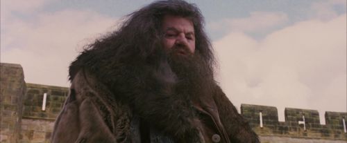 PF-Potterish_07183.jpg