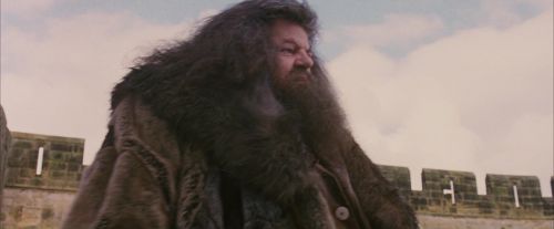PF-Potterish_07184.jpg