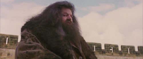 Click to view full size image
==============
PF-Potterish_07185.jpg PF-Potterish_07185.jpg