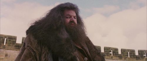 Click to view full size image
==============
PF-Potterish_07186.jpg PF-Potterish_07186.jpg
