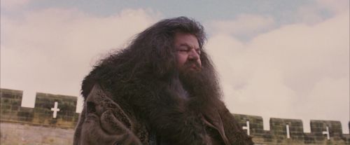 PF-Potterish_07187.jpg