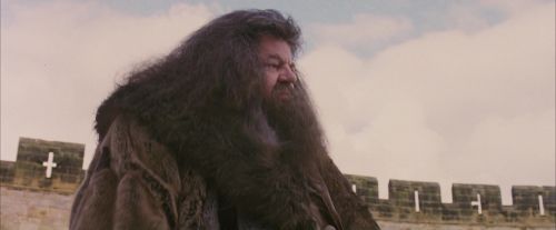 Click to view full size image
==============
PF-Potterish_07188.jpg PF-Potterish_07188.jpg