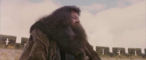 PF-Potterish_07189.jpg