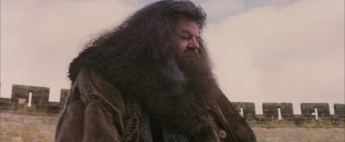 PF-Potterish_07193.jpg