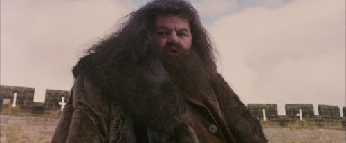 Click to view full size image
==============
PF-Potterish_07194.jpg PF-Potterish_07194.jpg