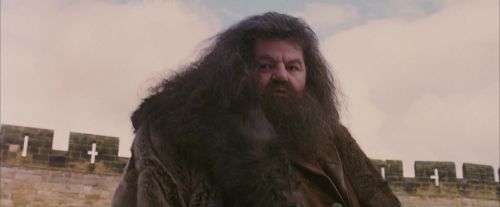 Click to view full size image
==============
PF-Potterish_07195.jpg PF-Potterish_07195.jpg