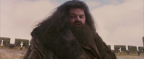 Click to view full size image
==============
PF-Potterish_07196.jpg PF-Potterish_07196.jpg