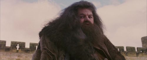 Click to view full size image
==============
PF-Potterish_07197.jpg PF-Potterish_07197.jpg