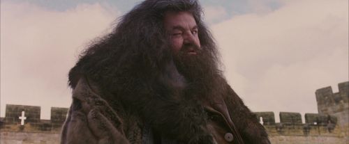 Click to view full size image
==============
PF-Potterish_07198.jpg PF-Potterish_07198.jpg