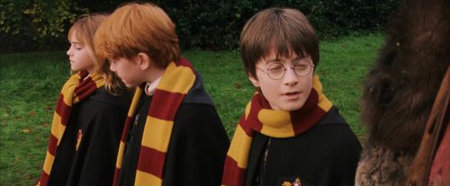 PF-Potterish_07199.jpg