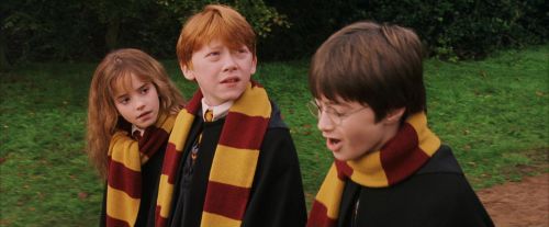 PF-Potterish_07202.jpg