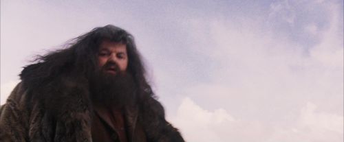 PF-Potterish_07205.jpg