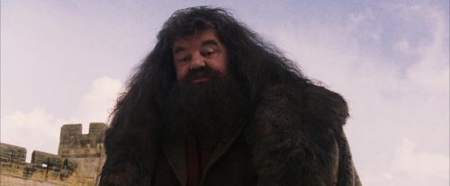 Click to view full size image
==============
PF-Potterish_07210.jpg PF-Potterish_07210.jpg