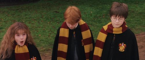 Click to view full size image
==============
PF-Potterish_07214.jpg PF-Potterish_07214.jpg