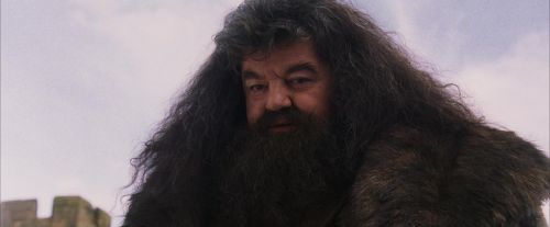 PF-Potterish_07216.jpg