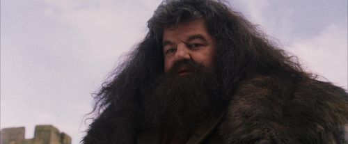 PF-Potterish_07218.jpg