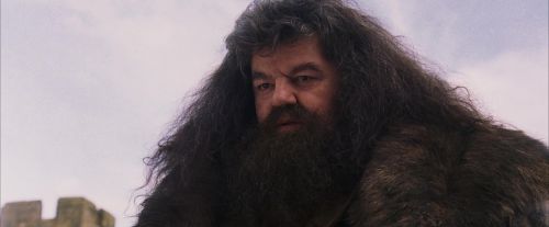 Click to view full size image
==============
PF-Potterish_07227.jpg PF-Potterish_07227.jpg