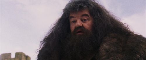 PF-Potterish_07228.jpg