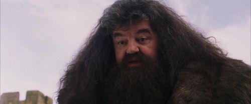 PF-Potterish_07229.jpg