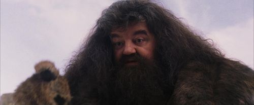 PF-Potterish_07231.jpg