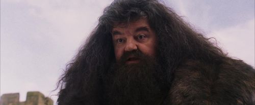 PF-Potterish_07232.jpg