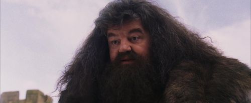 PF-Potterish_07233.jpg