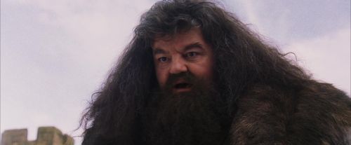 Click to view full size image
==============
PF-Potterish_07234.jpg PF-Potterish_07234.jpg