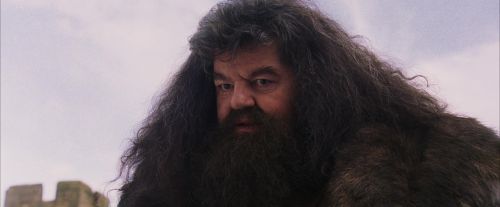Click to view full size image
==============
PF-Potterish_07235.jpg PF-Potterish_07235.jpg