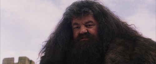 PF-Potterish_07240.jpg
