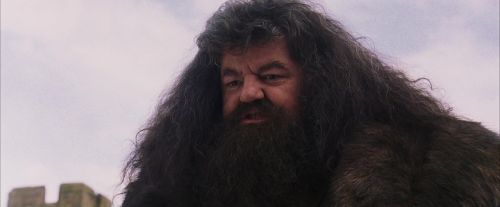 PF-Potterish_07241.jpg