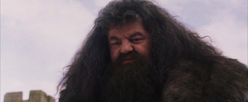 Click to view full size image
==============
PF-Potterish_07242.jpg PF-Potterish_07242.jpg
